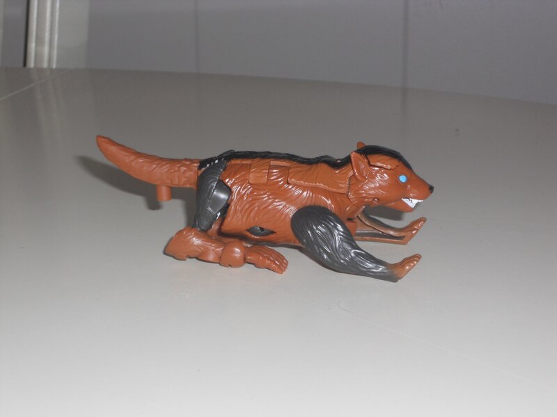Image Of Core Class Tasmania Kid In Hand From Transformers Legacy United  (25 of 28)